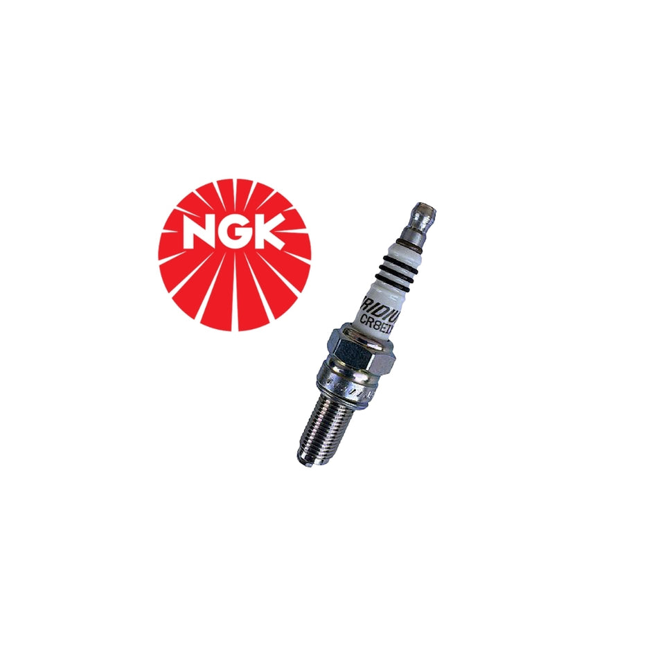 NGK CR8EIX IRIDYUM Buji